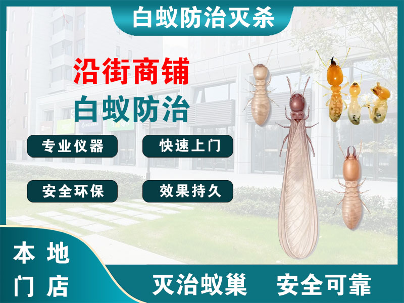 沭阳沿街商铺白蚁防治