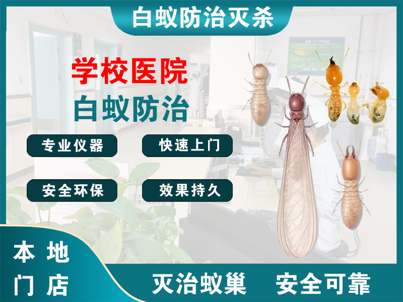 沭阳学校医院白蚁防治