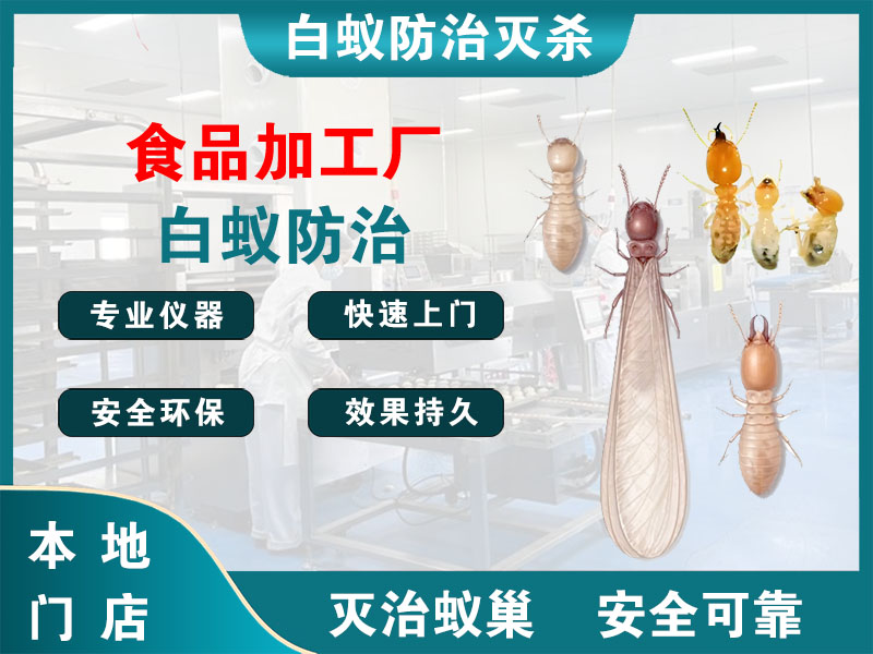 沭阳食品加工厂白蚁防治