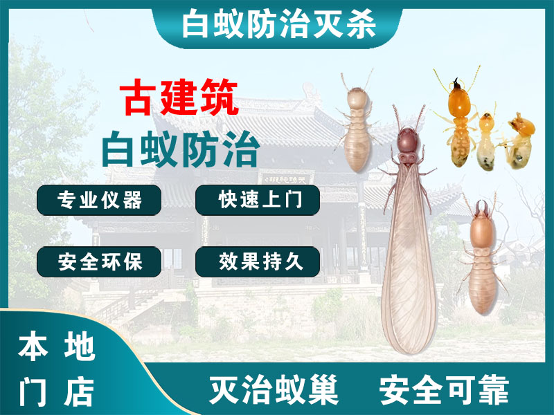 沭阳古建筑白蚁防治