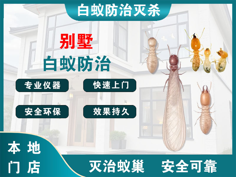 沭阳别墅白蚁防治